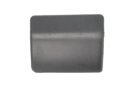 Елементи капота PACOL MAN-FB-019L