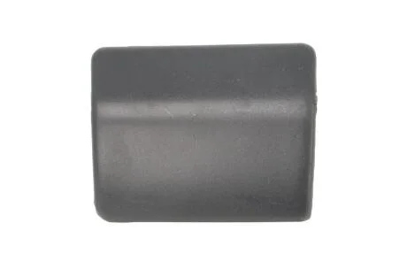 Елементи капота PACOL MAN-FB-019L