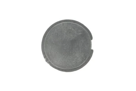 Елементи капота PACOL MAN-FB-020