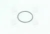 Кільце ущільнювальне трамблера DAEWOO NEXIA PARTS-MALL P1E-C002 (фото 3)