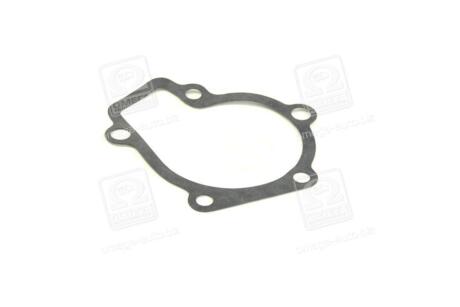 Прокладка помпы HYUNDAI ELANTRA/SONATA/TUCSON 04- PARTS-MALL P1H-A003