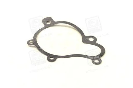 Прокладка помпы HYUNDAI/KIA SANTA FE/TUCSON/TRAJET/SPORTAGE 03- PARTS-MALL P1H-A006