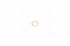 Кольцо форсунки HYUNDAI TERRACAN/PORTER/H-100 91- (мин. 10 шт.) PARTS-MALL P1Z-A049M (фото 2)