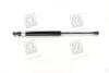 Амортизатор багажника CHEVROLET TACUMA, REZZO (U100) PARTS-MALL PQC-211 (фото 3)