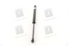 Амортизатор багажника CHEVROLET TACUMA, REZZO (U100) PARTS-MALL PQC-211 (фото 4)