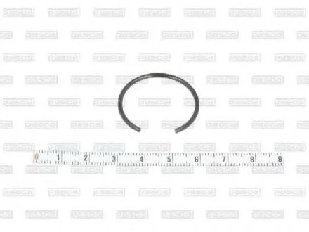 Запобіжне кільце PASCAL CIR G1F04PC (фото 1)