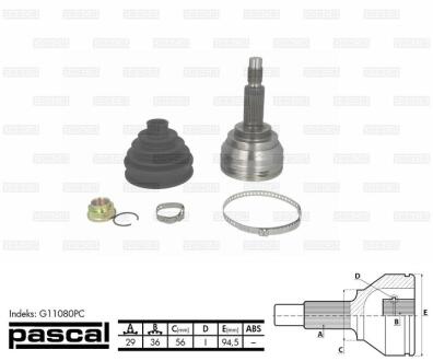 ШРКШ зовн. Nissan Qashqai I, X-Trail Renault Koleos I 1.6D/2.0D 02.07- PASCAL G11080PC