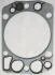 Прокладка, головка циліндра Payen BG850 (фото 1)