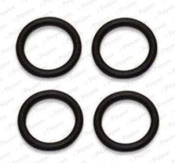 Комплект прокладок, впускной коллектор Payen HA5029