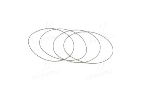 Кільце ущільнювальне Payen HR566