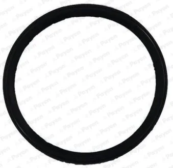 Ущільнення, впускний/випускний колектор Payen JD6150