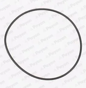 Прокладка насоса охолоджуючої рідини ALFA ROMEO 156, 166, 4C, 4C SPIDER, GIULIETTA FIAT BARCHETTA, BRAVA, BRAVO I, COUPE, DOBLO, DOBLO/MINIVAN, MAREA, PALIO, PUNTO 1.4-2.4D 08.94- Payen KA845