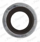 Уплотнительное кольцо, резьбовая пробка маслосливн. отверст. Payen KG5011