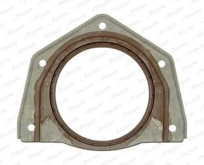 Сальник Payen NF888