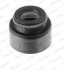 Сальник клапана Opel Astra Vectra A B 1.5D/1.6D/1.7D 06.87-10.01 Payen PA658 (фото 1)