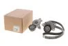 Комплект ремня генератора Citroen/Peugeot/Opel (09-) 2.0 BlueHDi Peugeot/Citroen 1687977080 (фото 2)