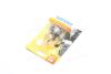 Лампа розжарювання R2 12V 45/40W P45t-41 STANDARD 1шт blister PHILIPS 12620 B1 (фото 2)
