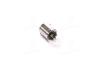 Лампа доп. освещ. STANDARD 12V R10W 10W BA15s (картон) (мин. 10 шт.) PHILIPS 12814 CP (фото 1)