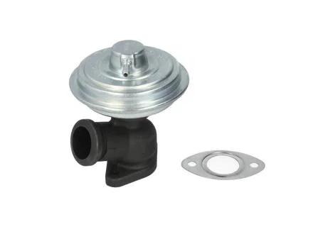 Клапан відпрацьованих газів PIERBURG 7.22888.02.0