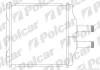 Радіатор опалювача Chevrolet Aveo Polcar 2500N81 (фото 1)