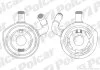 Радіатор масла Dacia Logan/Sandero/Renault Clio 1.5Dci Polcar 6060L81 (фото 1)
