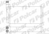 Радіатори обігріву Polcar 6521N82 (фото 1)