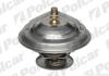 Термостати Polcar U6L015Q (фото 1)