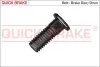 Гвинт, гальмівний супорт QUICK BRAKE 11675 (фото 1)