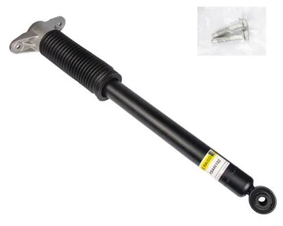 Амортизатор задній Tesla Model 3/Model Y 17- (повний привід) (газ.) RAISO RS446102