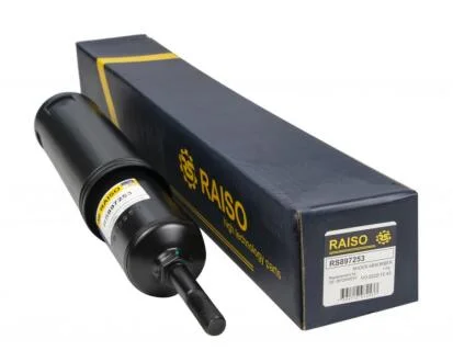 Амортизатор задній Богдан RAISO RS897253