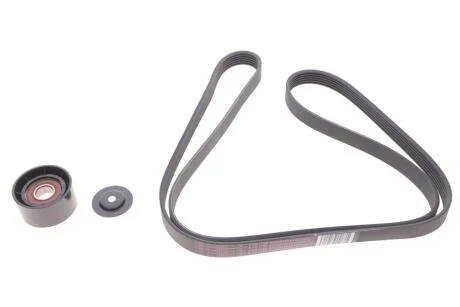 Комплект ременя генератора Master/Trafic/Vivaro 1.9dCi 01- RENAULT 117200713R