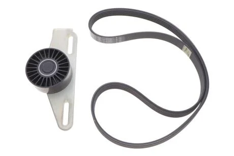 Комплект паса додатк. обладнання ролик k7j k7m RENAULT 1172 017 73R