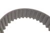 К-кт ГРМ (7701477028 з помпою 7701478031) Kangoo 1.5DCi 01-/Clio 1.5 dCi 01- RENAULT 119A02421R (фото 4)
