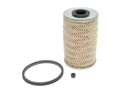 Фільтр паливний RENAULT 1640 385 13R