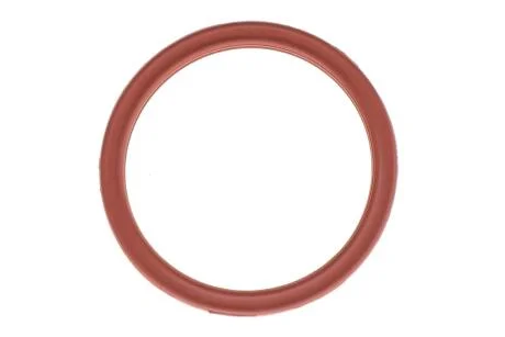 Прокладка дроссельной заслонки RENAULT 77 01 047 579