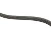 Комплект ременя генератора Kangoo/Logan/Sandero 1.4/1.6i 97- (5PK1110) RENAULT 77 01 477 522 (фото 4)