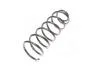 Пружина підв. CHEVROLET AVEO задн. RIDER RD.28110006 (фото 2)