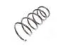 Пружина підв. DACIA SANDERO 08- передн. RIDER RD.34110014 (фото 4)