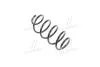 Пружина підв. SKODA OCTAVIA 04-13, VW GOLF V передн. RIDER RD.34110113 (фото 1)