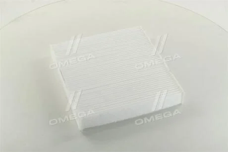 Фільтр салону MITSUBISHI OUTLANDER XL 07-, LANCER X 07- RIDER RD.61J6WP9322