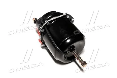 Камера гальмівна з поршневим енергоакумулятором тип 20/24 лінійка PROFESSIONAL RIDER RD 93.25.011