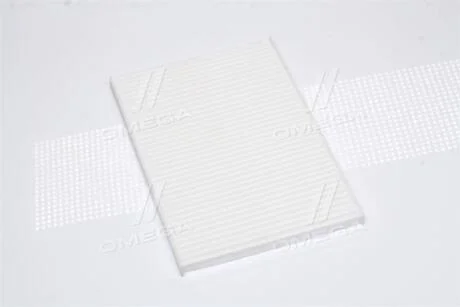 Фільтр салону CHERY A13/ZAZ FORZA RIDER RD.A138107915