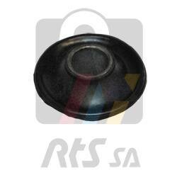 Опора, важіль підвіски RTS 017.00204