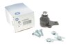 Опора шаровая (передняя/снизу) VW Caddy II 1.4/1.9TDI 95-04 (d=19mm) 10VW1100, 116 010 7154, 10161 07, TC413, 918212, PR 2301-0299 RTS 93-00926-056 (фото 1)