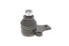 Опора шаровая (передняя/снизу) VW Caddy II 1.4/1.9TDI 95-04 (d=19mm) 10VW1100, 116 010 7154, 10161 07, TC413, 918212, PR 2301-0299 RTS 93-00926-056 (фото 5)