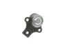 Опора шаровая (передняя/снизу) VW Caddy II 1.4/1.9TDI 95-04 (d=19mm) 10VW1100, 116 010 7154, 10161 07, TC413, 918212, PR 2301-0299 RTS 93-00926-056 (фото 7)