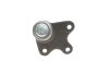 Опора шаровая (передняя/снизу/L) Skoda Fabia/Roomster/VW Polo 1.0-2.0 99- RTS 93-05340-256 (фото 4)