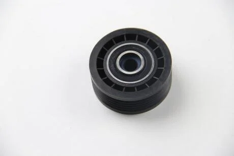 Ролик направляющий ремня ГРМ Opel Movano,Renault Master 98- 2.5D/2.8DTI RUVILLE 55569
