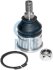 Кульова опора HONDA/ROVER Accord/Shuttle/600 &quot;F &quot;92-&quot;03 RUVILLE 917405 (фото 1)