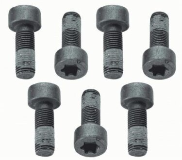 Болт з шестигранною головкою SACHS 1874 000 040